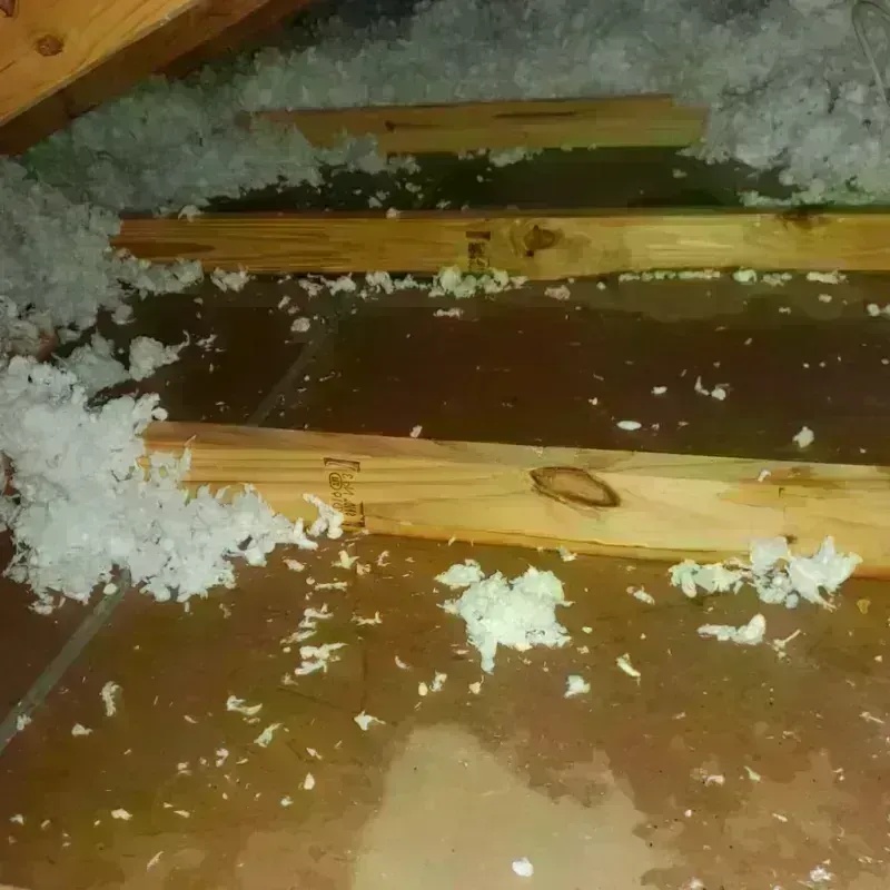 Attic Water Damage in North Crossett, AR