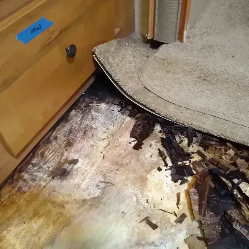 Best Wood Floor Water Damage Service in North Crossett, AR